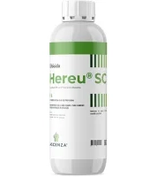 Hereu® SC (Oxyfluorfen puro)