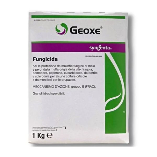 Geoxe Syngenta fungicida in granuli idrodispersibili Fludioxonil 1 kg