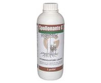 SPOLLONATE G NAA (Acido alfa-naftilacetico) puro 10 g (=112 g/L)