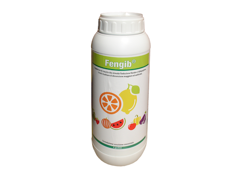FENGIB GA3 (Acido Gibberellico) puro 0,5 g (=5 g/L)