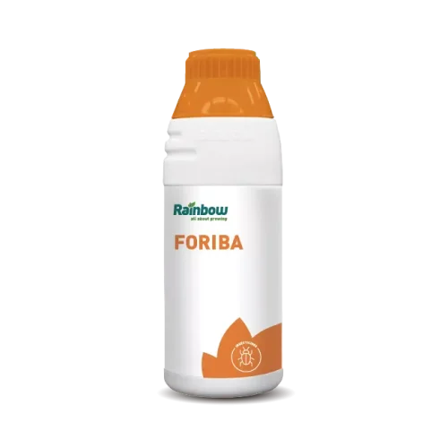 FORIBA
